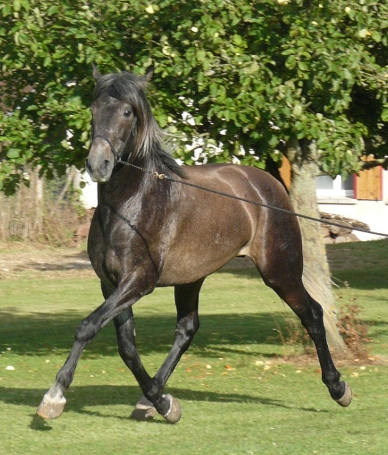 Rumiñahui SBA 3 ans