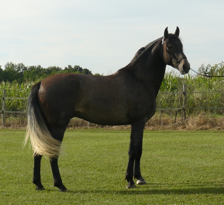 Rumiñahui SBA 3 ans